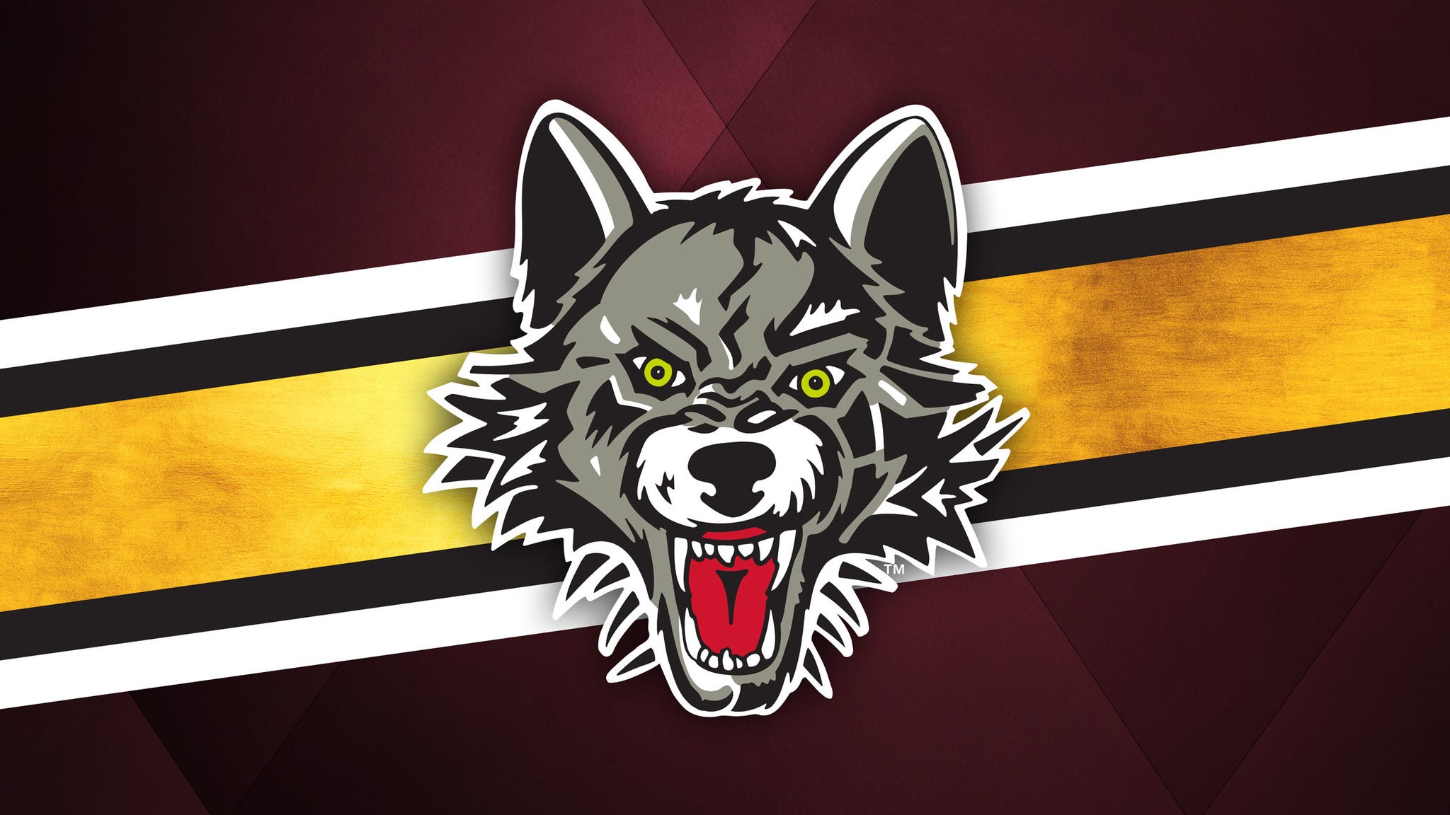Photo Galleries  Chicago Ice Hockey Team - Chicago Wolves